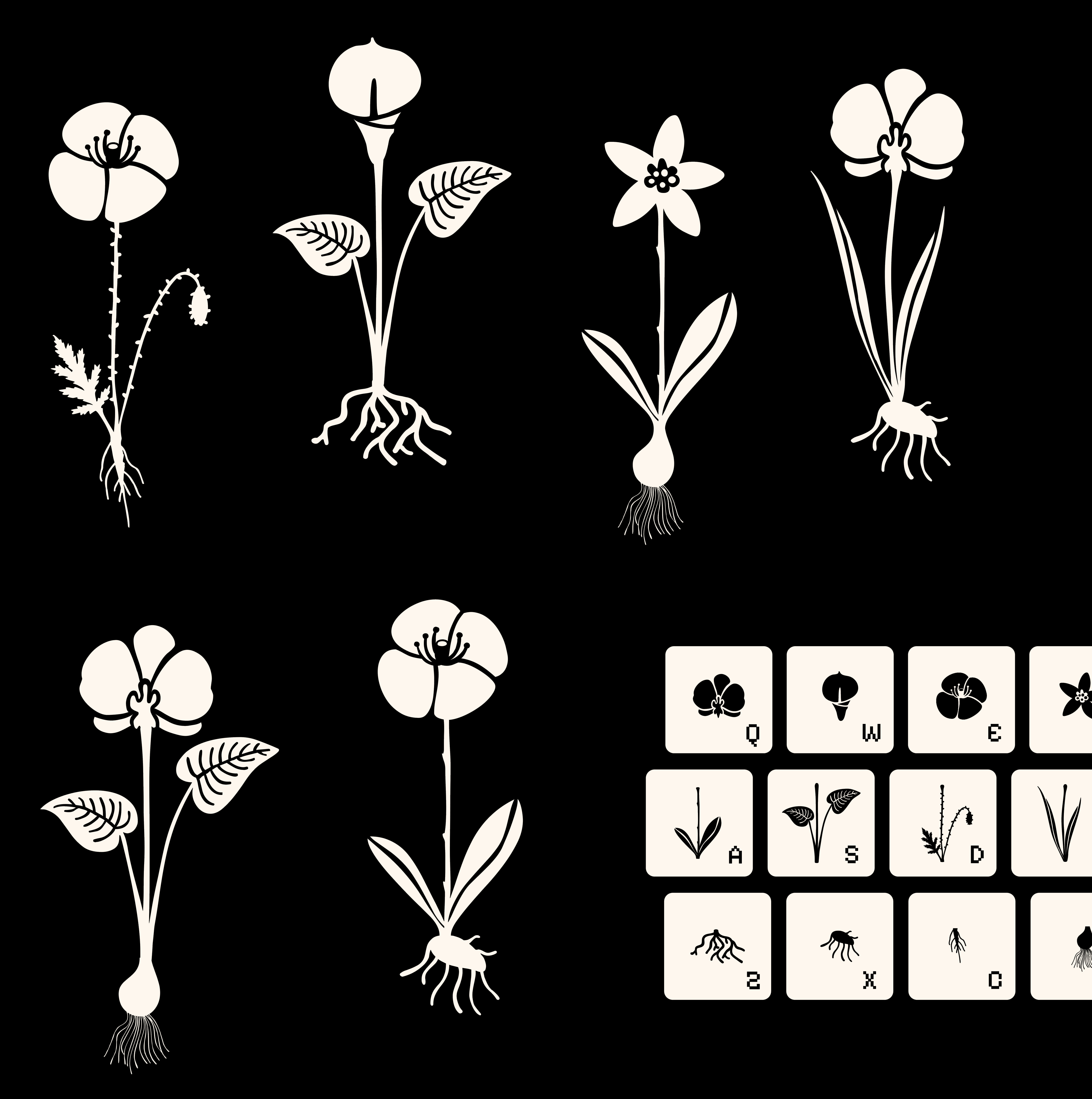 Imagen de Jardín Font